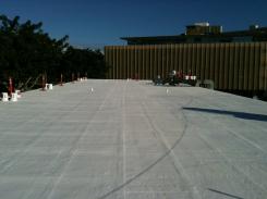 Silicone roof coating